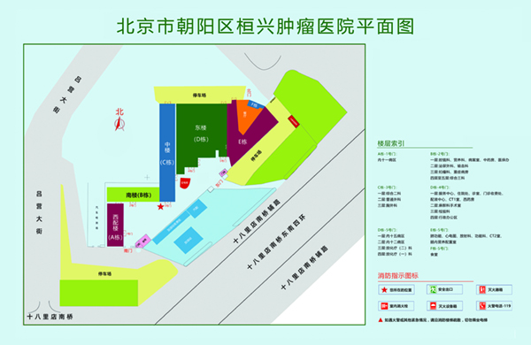 哦哦哦啊啊啊插骚逼视频北京市朝阳区桓兴肿瘤医院平面图